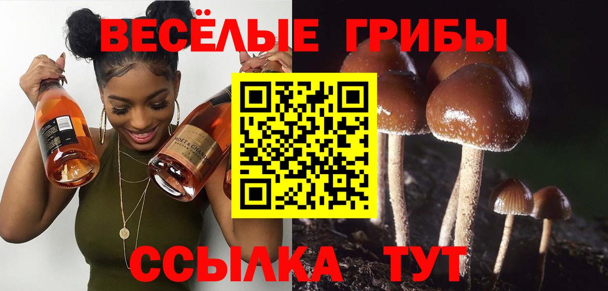 Холмск  Псилоцибиновые грибы Psilocybine cubensis  Галлюциногенные грибы прущие грибы  Вход с VPN 