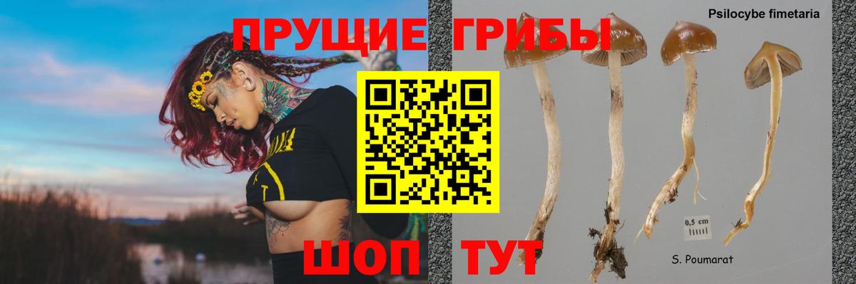 Галлюциногенные грибы Magic Shrooms Холмск